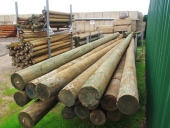 33_precision_random_shaved_treated_h4