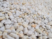 73_white_river_pebble_20mm_smooth