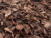 90_orchid_bark_peats