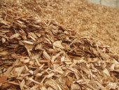 91_playground_chip_peats