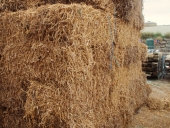 95_pea_straw_bales